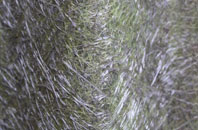 West Grinstead fibreglass roof work